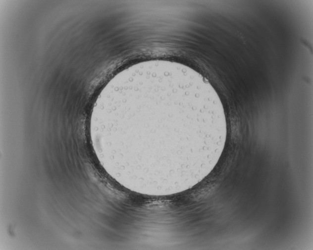 X0000103490447200810241105