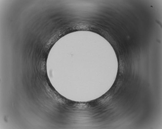X0000103490449200810241105