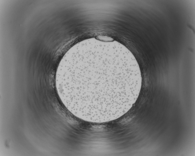 X0000103490450200810241105