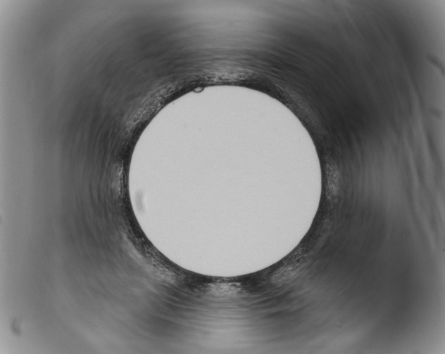 X0000103490451200810241105