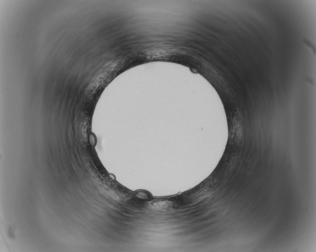 X0000103490452200810241105