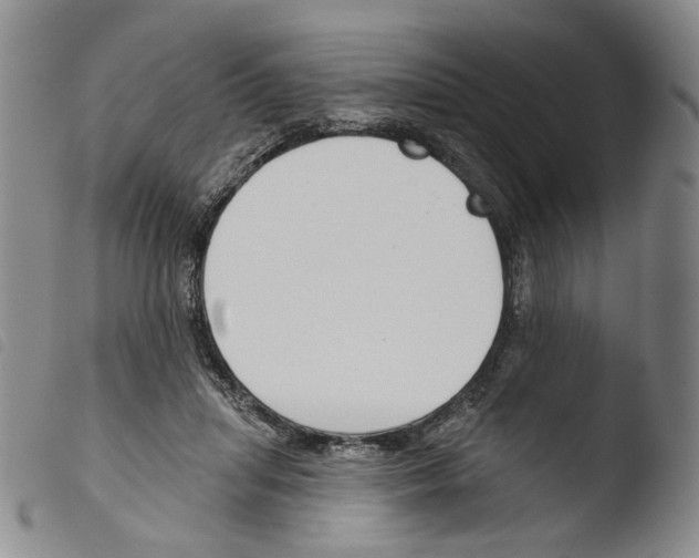 X0000103490455200810241105