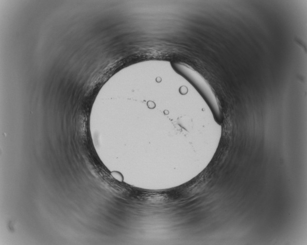 X0000103490456200810241105