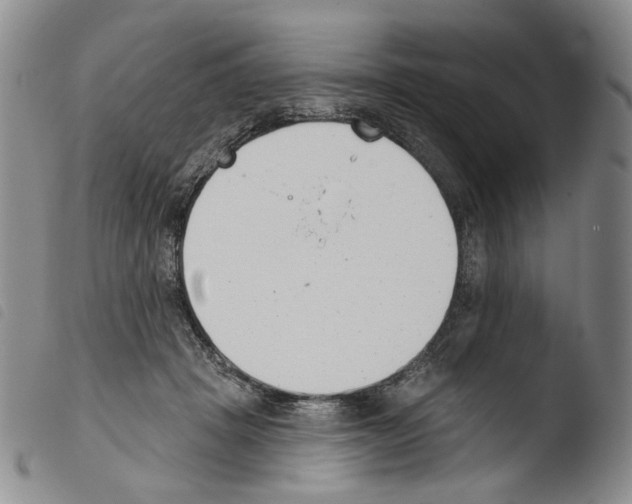 X0000103490457200810241105