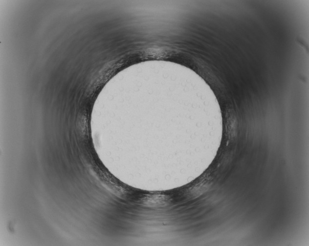 X0000103490459200810241105