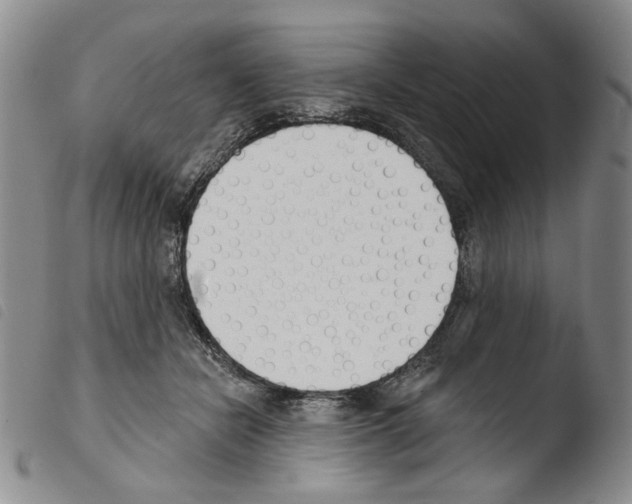 X0000103490462200810241105