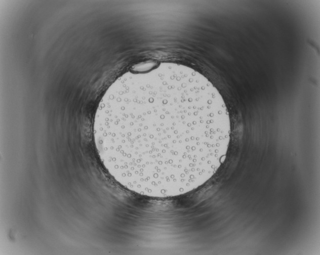 X0000103490469200810241105
