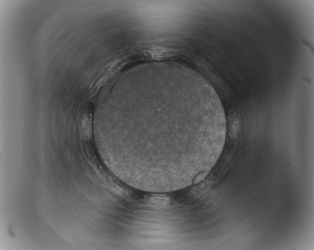 X0000103490471200810241105