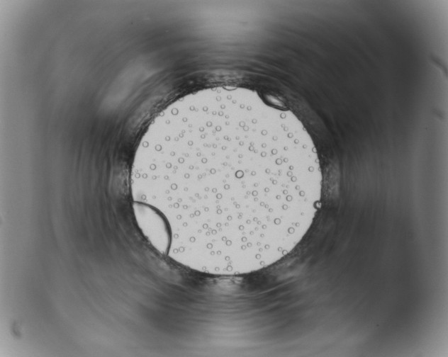 X0000103490474200810241106