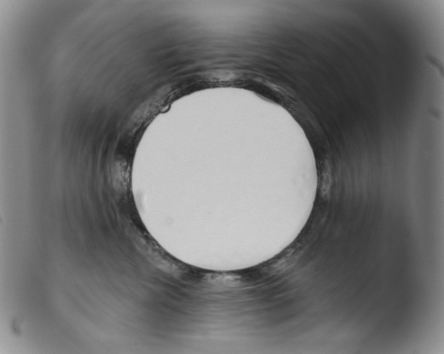 X0000103490476200810241106