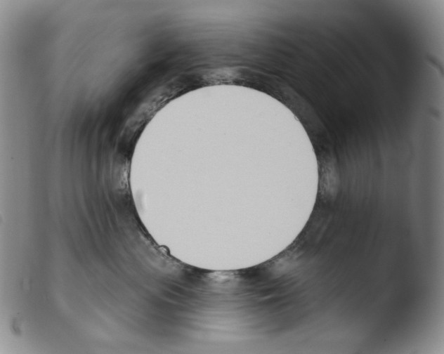 X0000103490477200810241106