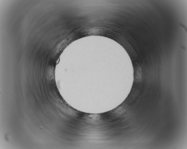 X0000103490478200810241106