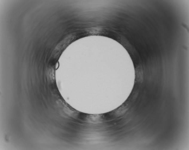 X0000103490479200810241106