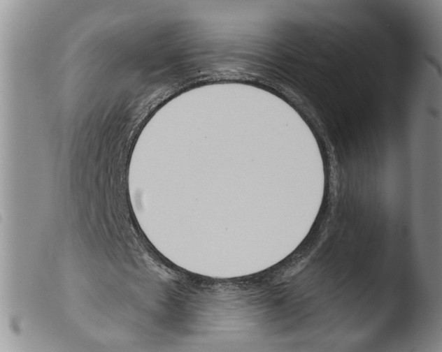X0000103490481200810241105