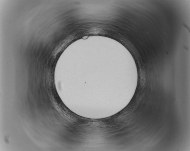 X0000103490482200810241105