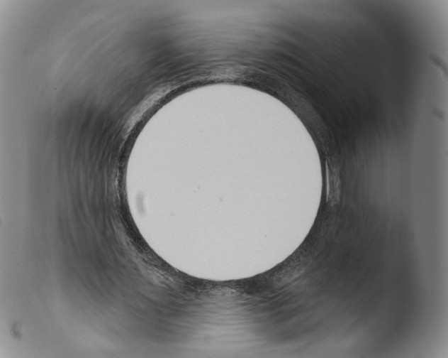 X0000103490483200810241105