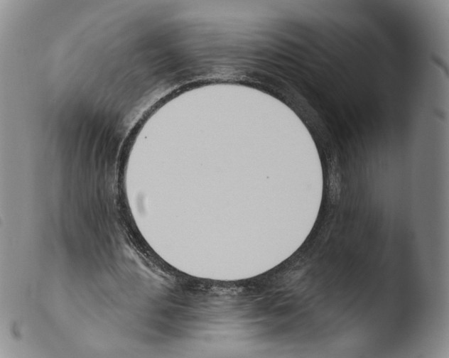 X0000103490484200810241105