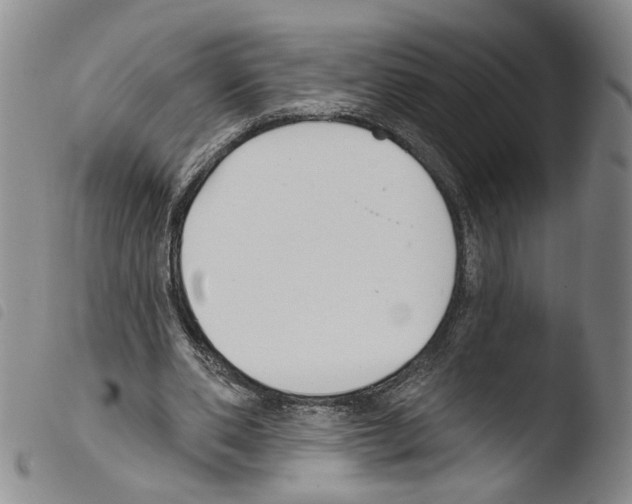 X0000103490486200810241105
