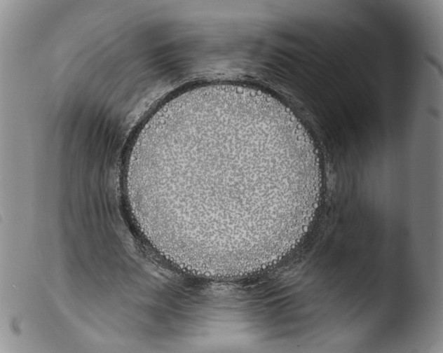 X0000103490487200810241105