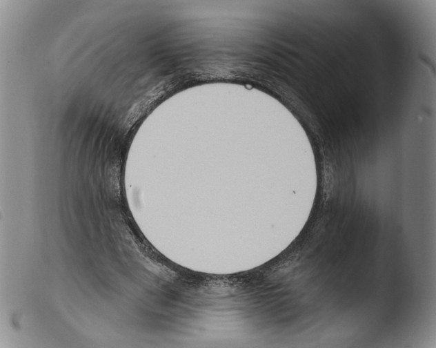X0000103490489200810241105