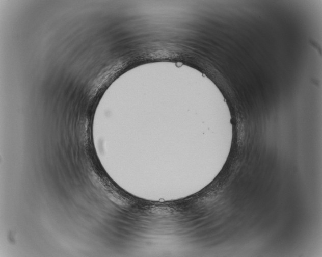 X0000103490490200810241105