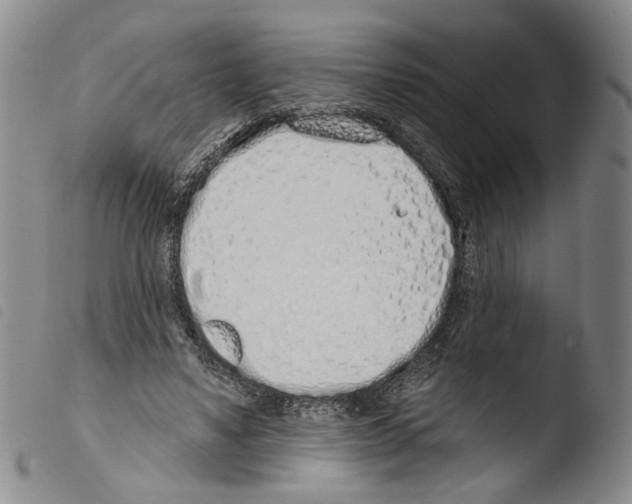 X0000103490491200810241105