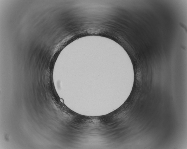 X0000103490492200810241105
