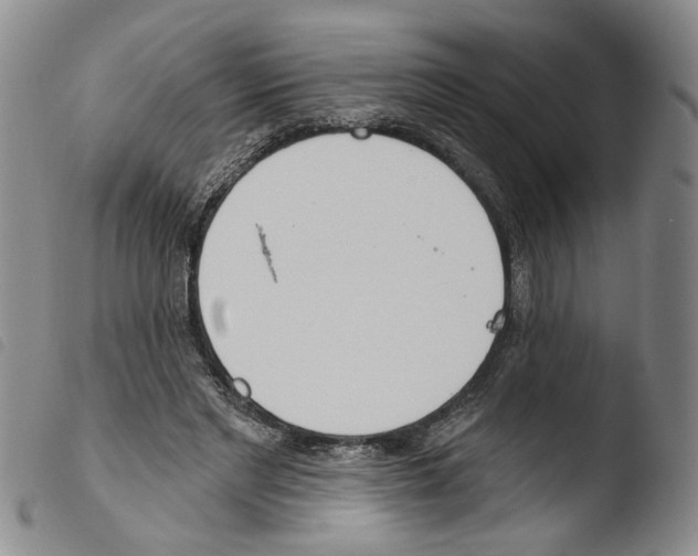 X0000103490493200810241105