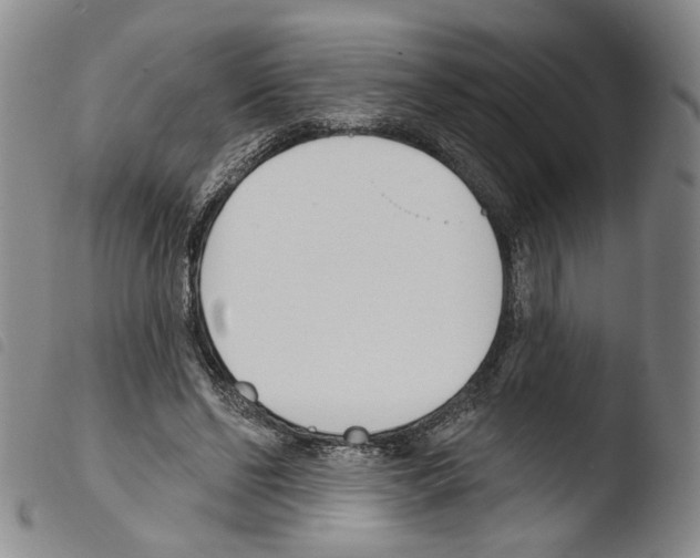 X0000103490494200810241105