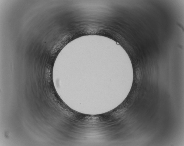 X0000103490497200810241105