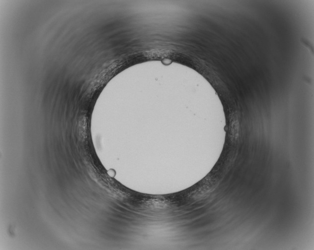 X0000103490498200810241105
