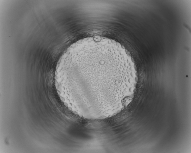 X0000103490499200810241105