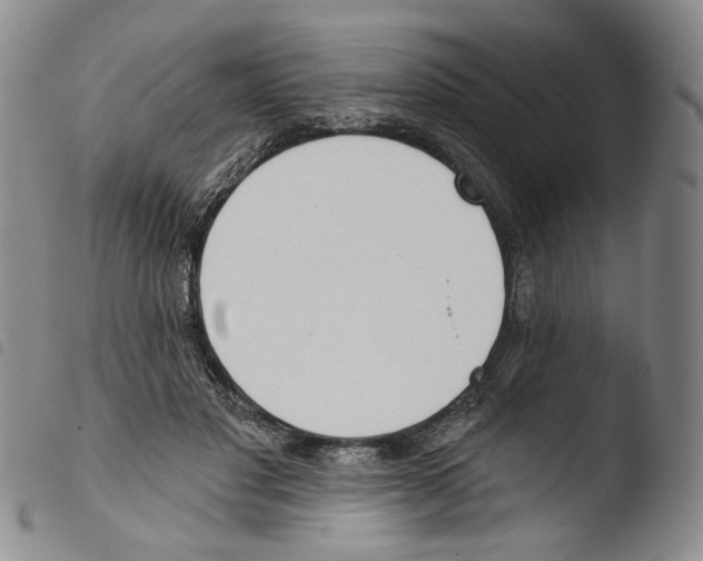 X0000103490501200810241105