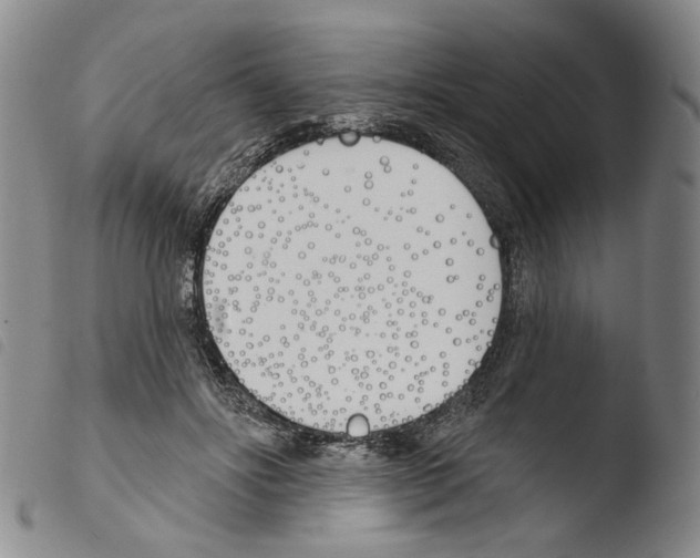 X0000103490502200810241105