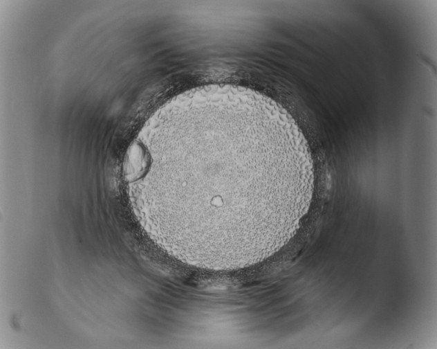X0000103490503200810241105