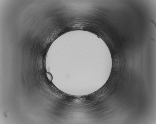 X0000103490504200810241105