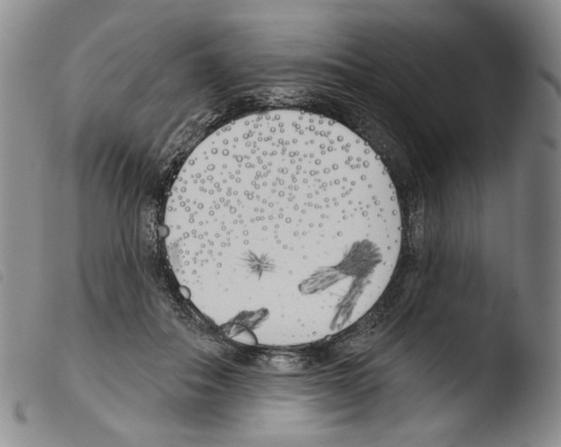 X0000103490506200810241105