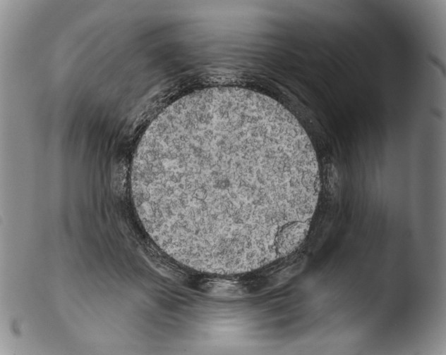 X0000103490507200810241105