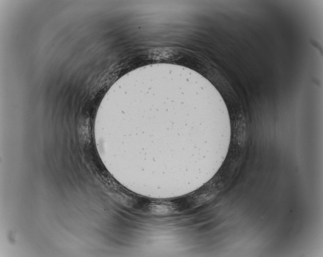 X0000103490510200810241104