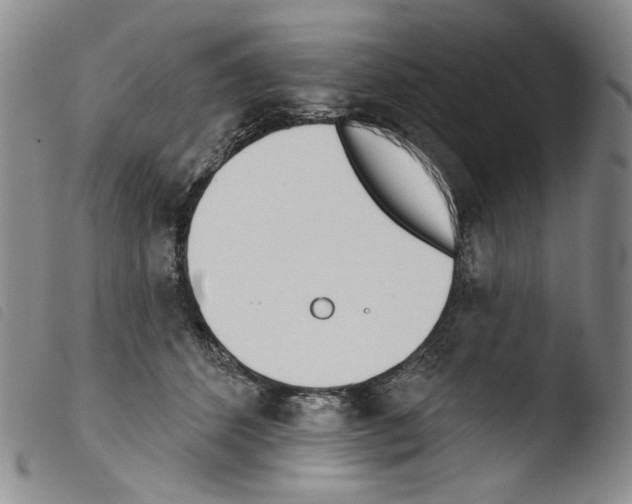 X0000103490512200810241104