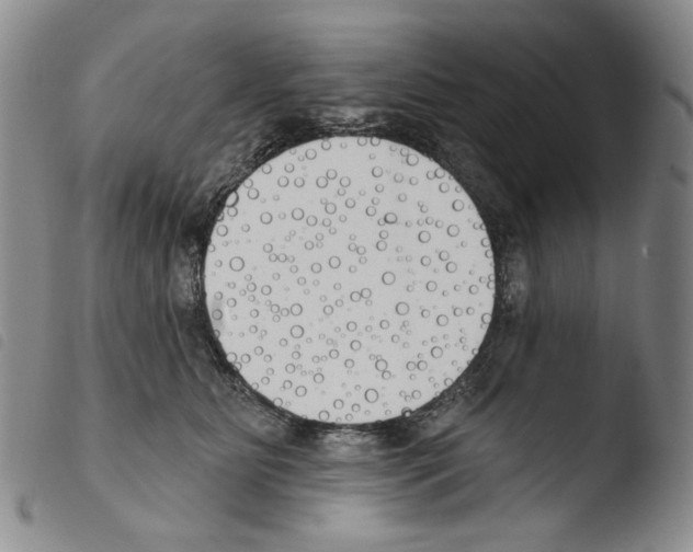 X0000103490515200810241104