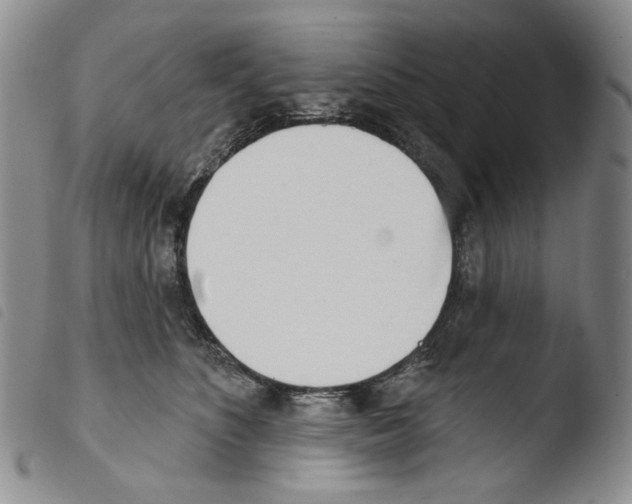X0000103490516200810241104