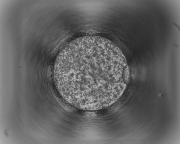 X0000103490519200810241104