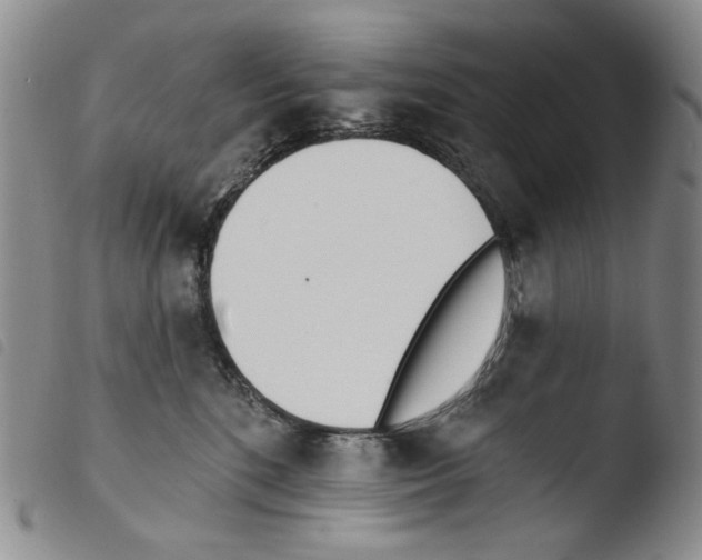 X0000103490520200810241104