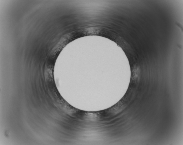 X0000103490522200810241104