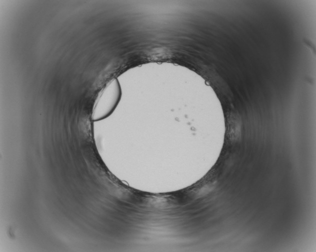 X0000103490523200810241104