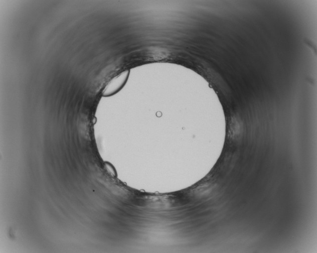 X0000103490524200810241104