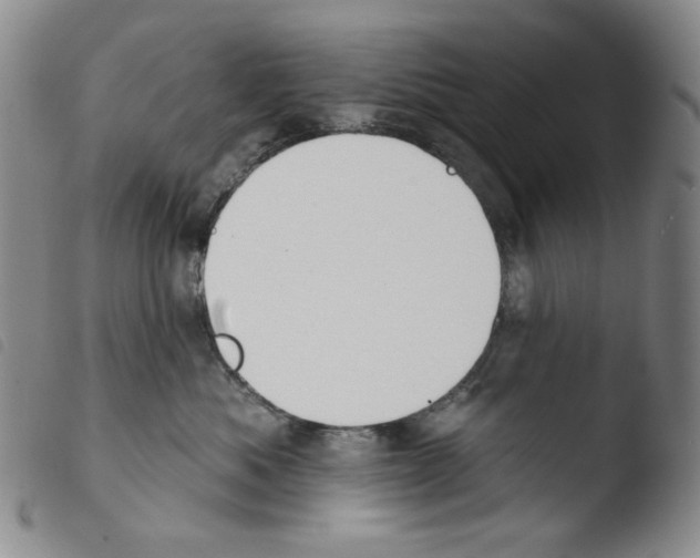 X0000103490525200810241104