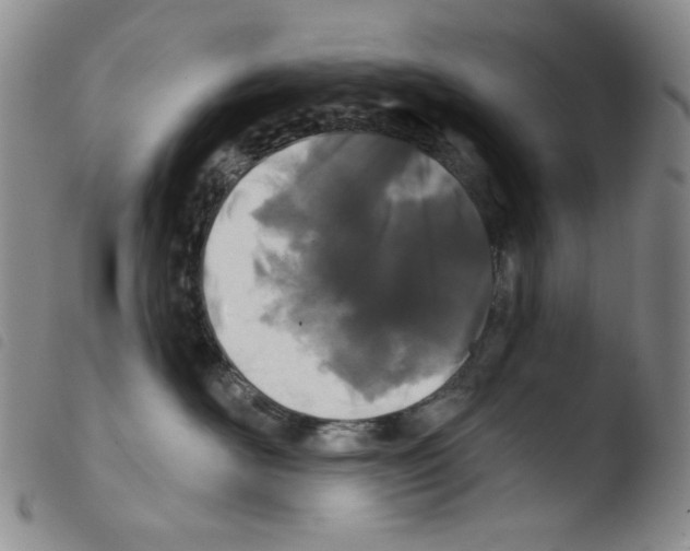 X0000103490526200810241104