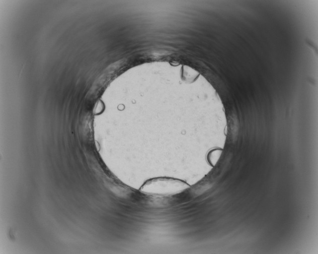 X0000103490527200810241104